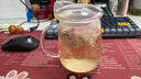 物生物（RELEA）玻璃杯男女士茶水分离杯耐高温办公泡茶杯带把高硼硅水杯花茶杯子 实拍图
