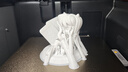 彩多屋 3D打印耗材PETG不堵头 适配拓竹 H2D P2S 创想三维 通用diy打印机迷你绘画笔线材 1kg PETG白色 无料盘 G9003A 线径1.75mm 实拍图