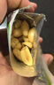 洽洽椒盐香花生15g*20袋 休闲零食小吃下酒菜酒友圈花生米炒货年货 实拍图