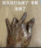 韩束男士护肤品套装保湿面霜精华露补水控油水乳紧致肽抗皱520礼物 实拍图