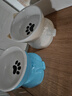 憨憨乐园猫碗陶瓷猫粮双碗斜口狗碗狗盆狗粮宠物幼猫咪吃饭食盆喝水喂食 实拍图