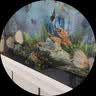 坤宁王金晶超白玻璃鱼缸桌面造景小鱼缸家用客厅裸缸一体缸30*17*20cm 实拍图