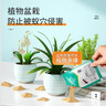 绿叶蚂蚁药杀蚁饵剂10袋厨房家用室内外灭蚁杀虫剂GL1046-10 实拍图