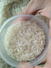 邻家饭香五常大米  东北大米5kg/袋 国家地理标志产品 GB/T19266 大奖章五常大米 5kg*1袋 1袋装 实拍图