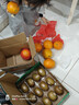 佳沛（zespri）新西兰 阳光金奇异果12粒特大果单果124-146g 猕猴桃水果礼盒 实拍图