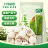 十月稻田 莲子 250g 半斤 湘潭产去芯磨皮白莲子 桂圆百合银耳羹煲汤食材  实拍图