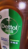 滴露（Dettol）消毒液250ml 衣物消毒水家居环境地板消毒 衣物除菌剂 灭活HPV16 实拍图