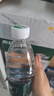 怡宝纯净水555ml*24瓶 饮用水非矿泉水 小瓶会议用水整箱 外出便携 实拍图