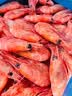 禧美海产熟冻北极甜虾净重3斤装/盒 150/180小号规格 MSC认证 轻食海鲜 实拍图