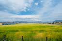 索尼（SONY）FE 16-35mm F2.8 GM II 全画幅大三元二代超广角变焦G大师微单相机镜头 基础防护套装 实拍图