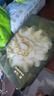 babycare金山茶花纸尿裤M50片(6-11kg)婴儿尿不湿超薄透气新生柔花苞裤 实拍图