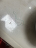 古松火锅鞭炮笋马尾藻海藻 长寿菜发菜凉拌菜火锅麻辣烫食材0脂 200g 实拍图