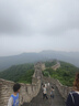 京东自营洗鞋服务运动鞋任洗5双上门取送价值2000元内小白鞋京东洗衣 实拍图