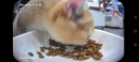 霍曼（Homerun）AI智能宠物自动喂食器视频猫狗喂食定时定量可视陶瓷碗VF20可插卡 实拍图