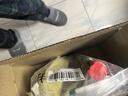 MISTOLIN进口实木地板保养蜡红木家具保养油文玩精油核桃油防干裂360ml 实拍图