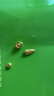 实时金 【足金9999】足金金豆水贝黄金小金豆子送女友礼物投资收藏金 金豆豆*1颗（足金999.9） 1克/颗 实拍图