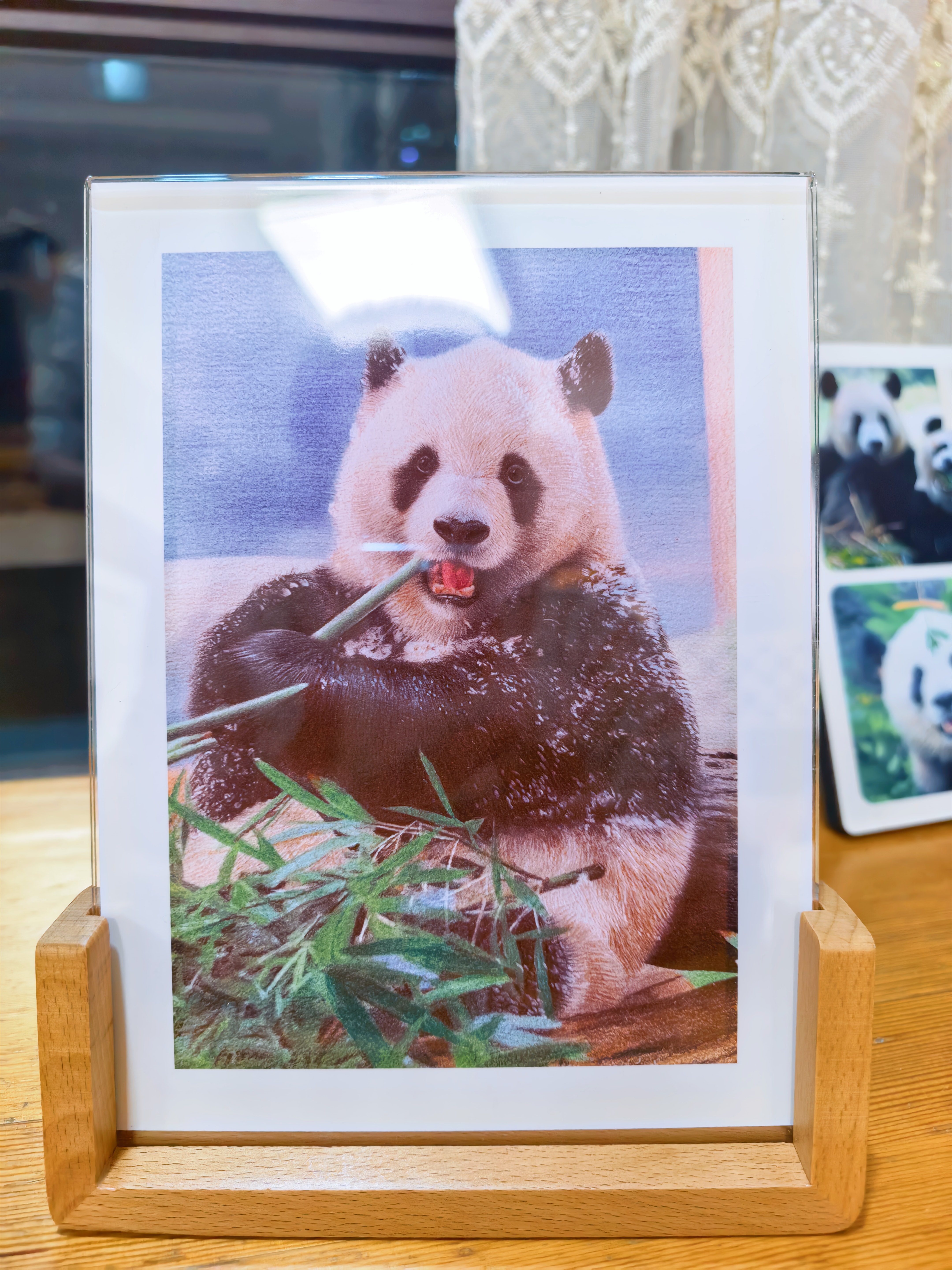 爱墨绘8寸实木相框桌面摆台标本展示相片礼物透明亚克力U形相框榉木竖版 实拍图
