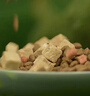 麦富迪猫粮 超肉粒冻干双拼成猫粮美毛护肠胃 三文鱼2kg 实拍图