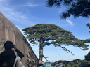 骆驼（CAMEL）【盘龙】户外登山鞋男女越野运动跑鞋防泼水防滑徒步鞋   38 实拍图
