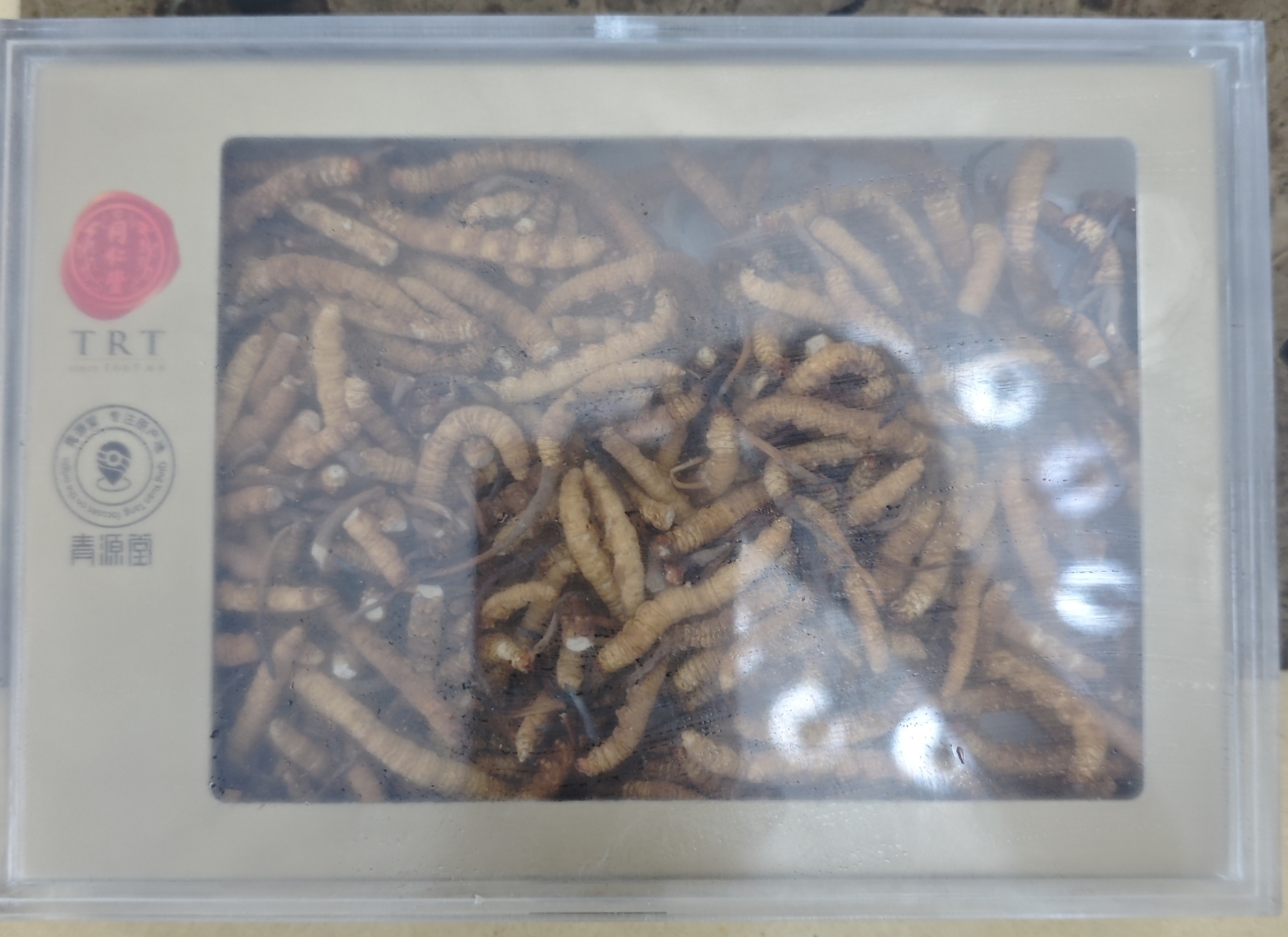 同仁堂品牌冬虫夏草断草50g虫草北京同仁堂自用补品滋补品高端礼品送礼 实拍图