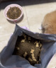 麦富迪猫粮 barf霸弗天然猫粮冻干生骨肉高蛋白成猫粮养胃增肌牛肉5.4kg 实拍图