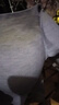 浪莎调整型内衣女文胸塑型加宽收副乳无钢圈上薄下厚聚拢显大胸罩 墨绿色单件 80C =36C (薄款0.5厘米） 实拍图
