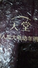 天堂伞 户外骑行雨衣雨披单人连体 加大黑胶电瓶车摩托车雨披 均码酱红 实拍图