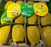 佳沛（zespri）新西兰 阳光金奇异果12粒特大果单果124-146g 猕猴桃水果礼盒 实拍图