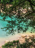 晾衣夹子不锈钢夹强力夹晒衣服夹晾袜夹小夹扁口夹夹子不锈钢无钉 不锈钢 10个 实拍图
