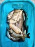 川泽高端竞技线组成品主线组PE加固配件全套鱼线主线绑好黑坑大物线组 5.4米PE加固线组(3卷装) 2.0号 实拍图