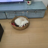 喵仙儿猫窝四季通用蒲草编织猫抓板窝网红藤编睡觉猫垫子 XL 实拍图
