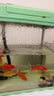 活性炭过滤棉水族箱鱼缸生化棉过滤材料高密度净水海绵 活性炭过滤棉 50*11*2厘米【单张】 实拍图
