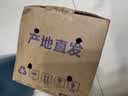 金百粟 云南紫皮独头蒜2026新蒜干大蒜红皮新鲜独蒜蔬菜辛辣味浓 净重4.5斤【实惠囤货】 大果3.0-3.3cm[80%人选择] 实拍图