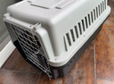 腆宠宠物航空箱大号 猫咪航空箱猫狗 猫包猫笼外出车载猫箱狗狗托运 实拍图