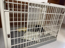 华元宠具（hoopet）狗狗树脂笼子宠物室内围栏大空间带厕所中大型犬家用栅栏隔离专用 实拍图