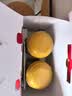 原始黄金新疆正品骆驼奶粉330g*2罐益生菌驼乳粉无蔗糖中老年儿童成人礼盒 实拍图