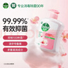 滴露（Dettol）健康抑菌洗手液滋润倍护500g 消毒抑菌99.99% 儿童适用不含酒精 实拍图