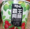 百草味 霸王梅桶500g 网红梅子蜜饯果干 休闲零食大礼包含西梅话梅 清新小绿桶500g（塑料桶） 实拍图