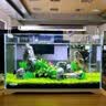 坤宁王金晶超白玻璃鱼缸60造景裸缸客厅桌面溪流缸一体缸水族箱60*30*35 实拍图