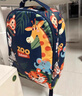 Edison爱迪生幼儿园书包学前班户外轻便出游儿童小学生研学小背包6001-5 实拍图