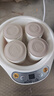 小熊（Bear） 酸奶机 家用全自动米酒机不锈钢内胆酸奶发酵 陶瓷4分杯 SNJ-B10K1 实拍图