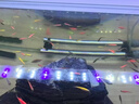 宠小侠小型热带鱼斑马鱼灯科鱼鱼苗活体观赏鱼淡水好养耐活宝莲灯孔雀鱼 今日特惠混色斑马30条 限时优惠 晒单实拍图