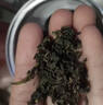 南同四海南京同仁堂绞股蓝茶80g搭血绞股蓝中药材压正品脂清脂降养生茶降 实拍图