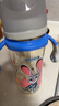 贝亲（Pigeon）迪士尼疯狂动物城PPSU双把手彩绘奶瓶330mL L号 6月+ 探案朱迪 实拍图