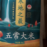 十月稻田 当季新米 寒地之最 五常大米 10斤（东北大米 香米 十斤） 实拍图