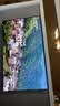 海信电视小墨E5Q Pro 75英寸【价保618】U+MiniLED 信芯芯片抗反光防眩光墨晶屏75E5Q-PRO 实拍图