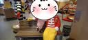 MIKIHOUSE学步鞋男女童鞋经典LOGO学步鞋婴幼儿宝宝运动鞋耐磨防滑 多色学步期 12.5 (适合脚长12cm) 实拍图
