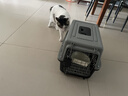 腆宠宠物航空箱小号 猫咪航空箱猫狗 猫包猫笼外出车载猫箱狗狗托运 实拍图