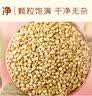 十月稻田 荞麦米 2斤 东北甜荞 五谷杂粮米 低脂粗粮 粥米伴侣新米 纯荞麦 实拍图