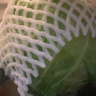 山东新鲜甘蓝包菜卷心菜圆白菜新鲜嫩绿莲花白现摘现发早餐减脂 新鲜包菜 2.8斤净重 人工挑拣 实拍图